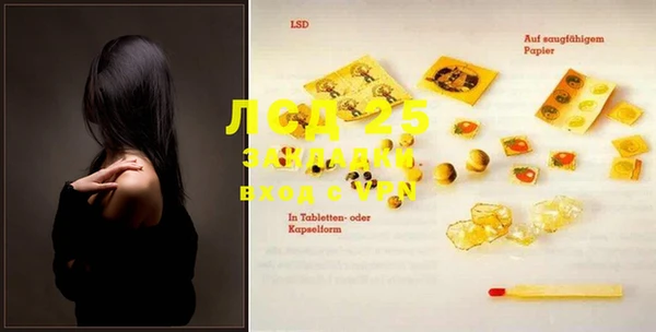 ПСИЛОЦИБИНОВЫЕ ГРИБЫ Магас