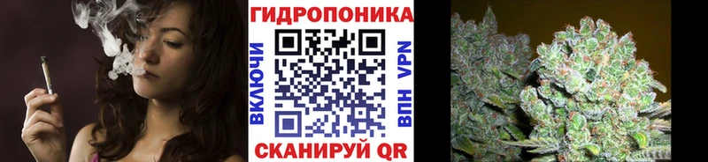 Купить где  Пушкино  Канабис планчик